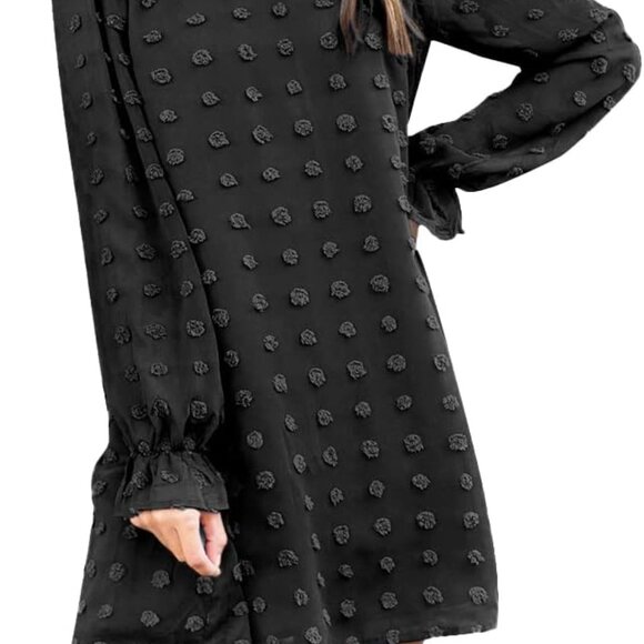 Dresses & Skirts - Women's Swiss Dot Long Sleeve Mini Dress Casual Flowy Chiffon for Women
